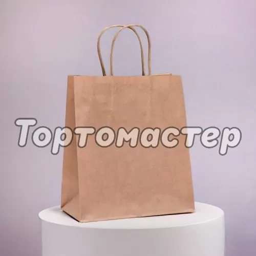 Пакет бумажный с ручками Крафт 22х12х25 см 1263050